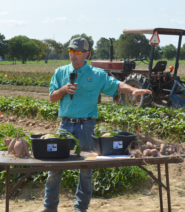 AgCenter appoints new sweet potato specialist
